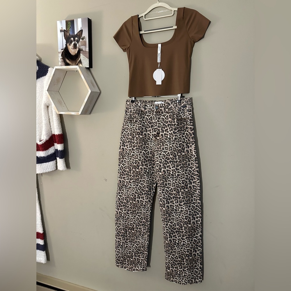 Cello Leopard Print Cropped Pants matched with a brown seamless top.